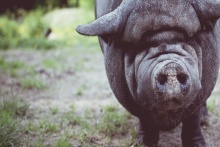 張訓(xùn)照：像愛(ài)護(hù)生命一樣愛(ài)護(hù)產(chǎn)品品質(zhì) 