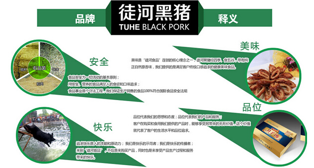 徒河黑豬招商加盟
