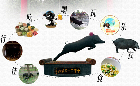 黑笨豬品牌加盟