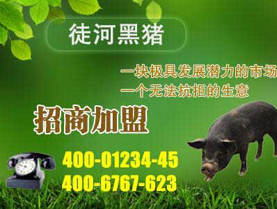 加盟項(xiàng)目