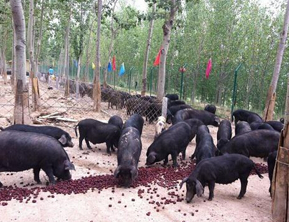 有什么創(chuàng)業(yè)好項(xiàng)目