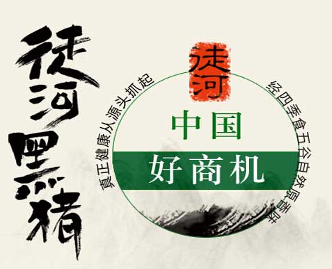 創(chuàng)業(yè)加盟項目