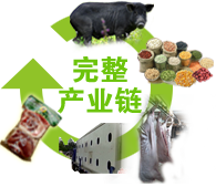 完整產(chǎn)業(yè)鏈