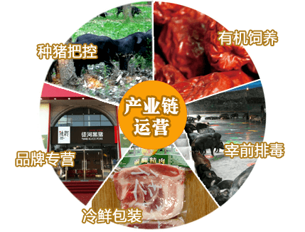 產(chǎn)業(yè)運(yùn)營(yíng)鏈