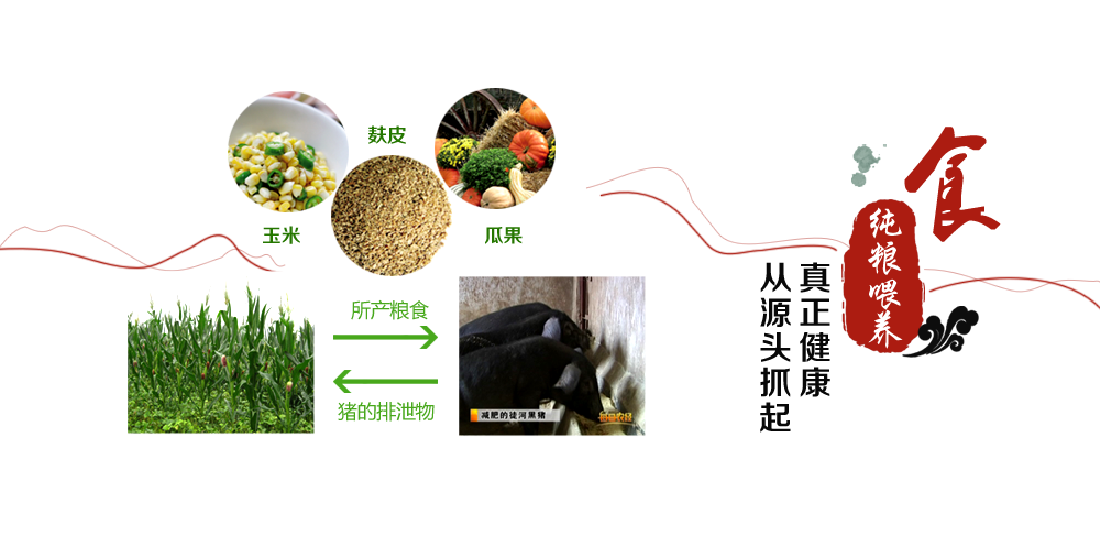 純良喂養(yǎng)，真正健康從源頭抓起